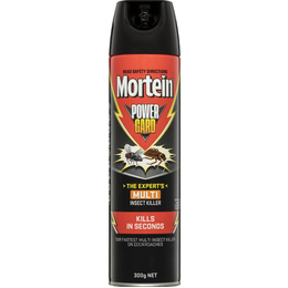 Mortein PowerGard Insect Spray Multi Insect Killer 300g