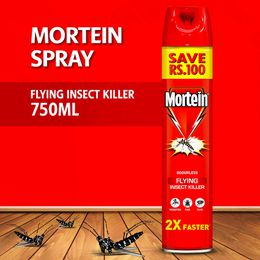 Mortein Flying Insect Killer 750ML Aerosol