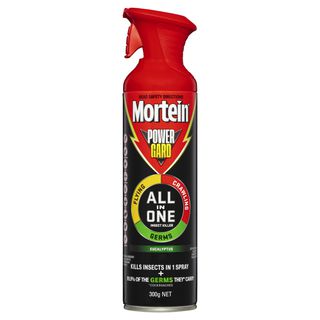 Mortein Fast Knockdown Insect Spray Odourless Fly & Mosquito Killer 350g